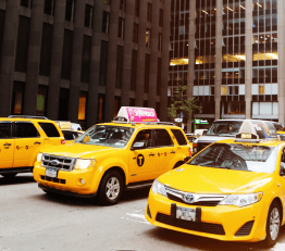 Tensive quality vectors life through strategies